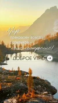 08_620.webp