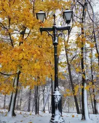 IMG_20241105_225016.webp