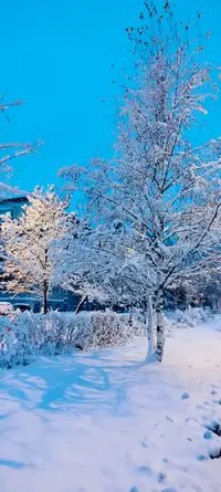 IMG20241106175713.webp
