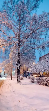 IMG20241106175706.webp