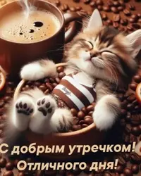 imgonline-com-ua-Resize-M8zBdZ35AitB7lir.webp