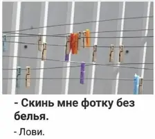 IMG_20241105_161316_302.webp