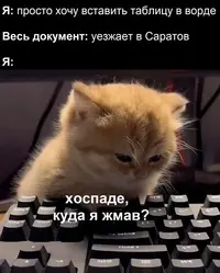 1200-1295969.webp