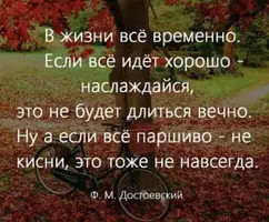 IMG_7896.webp
