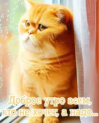 IMG_4973.webp