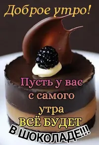 IMG_7944.webp