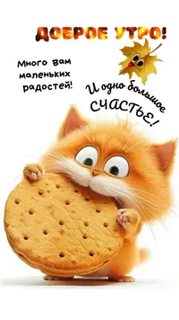 IMG_4995.webp