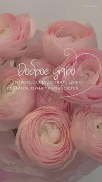 0137_398.webp