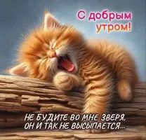 IMG_4996.webp