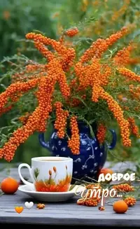 02_752.webp