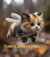 002_559.webp