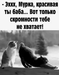 IMG_8044.webp