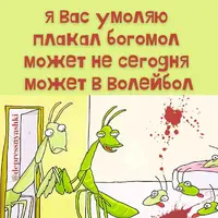 IMG_20241116_205259_781.webp