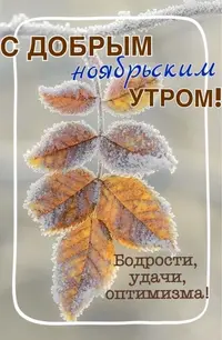 IMG_5009.webp