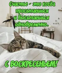 IMG_8095.webp