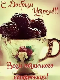 IMG_8106.webp