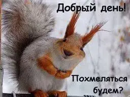 images.webp