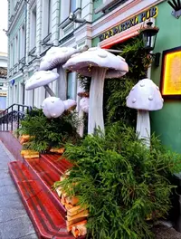 IMG_20241119_214007.webp
