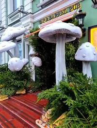 IMG_20241119_214113.webp