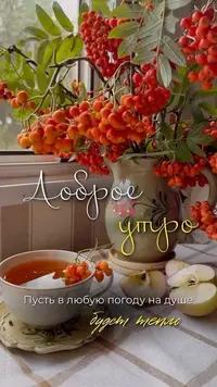 010_962.webp