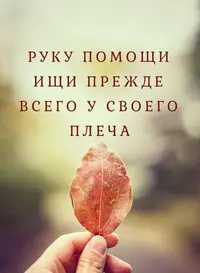04325_559.webp