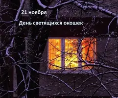 000-3039.webp