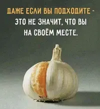 IMG_8201.webp