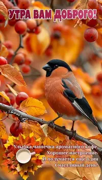 0229_398.webp