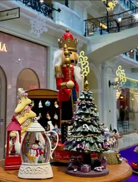 IMG_20241123_002427.webp