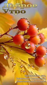 04_474.webp
