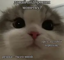 1658318382.webp