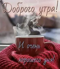 IMG_8264.webp