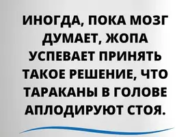 InShot_20241124_105226938.webp