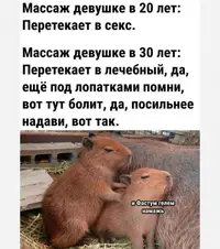 003-127880399.webp