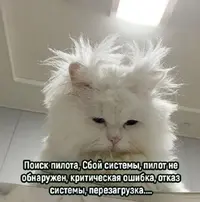 1200-612160417.webp