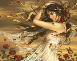 1200-004.webp