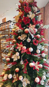 IMG20241111183904.webp