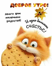 imgonline-com-ua-Resize-qAyg7Sc561zzZl.webp