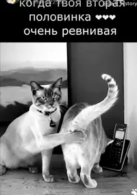 Screenshot_2024-11-25-11-34-00-60_68e74cc0265513bba3f4cf8e2c9891fe.webp
