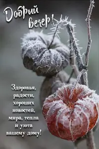 0116_430.webp