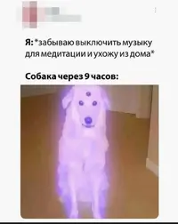 Screenshot_2024-11-26-09-33-37-16_68e74cc0265513bba3f4cf8e2c9891fe.webp