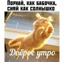 005723_224.webp