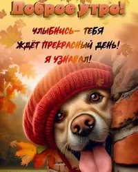 imgonline-com-ua-Resize-6ETtJB4MZczmr.webp