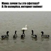 IMG_20241127_104510_551.webp