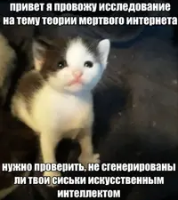 1732766694555.webp