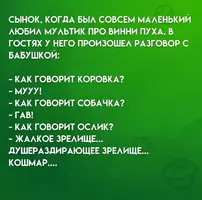 003149_381.webp