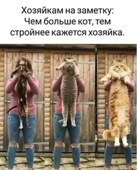 1000002635.webp