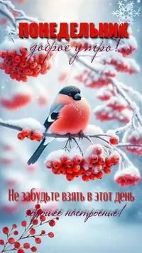IMG_5132.webp