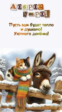 IMG_5134.webp