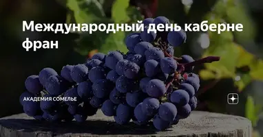 1200-003.webp